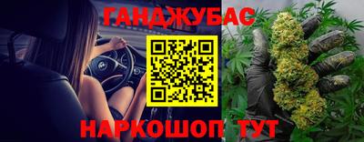 jwh Новозыбков