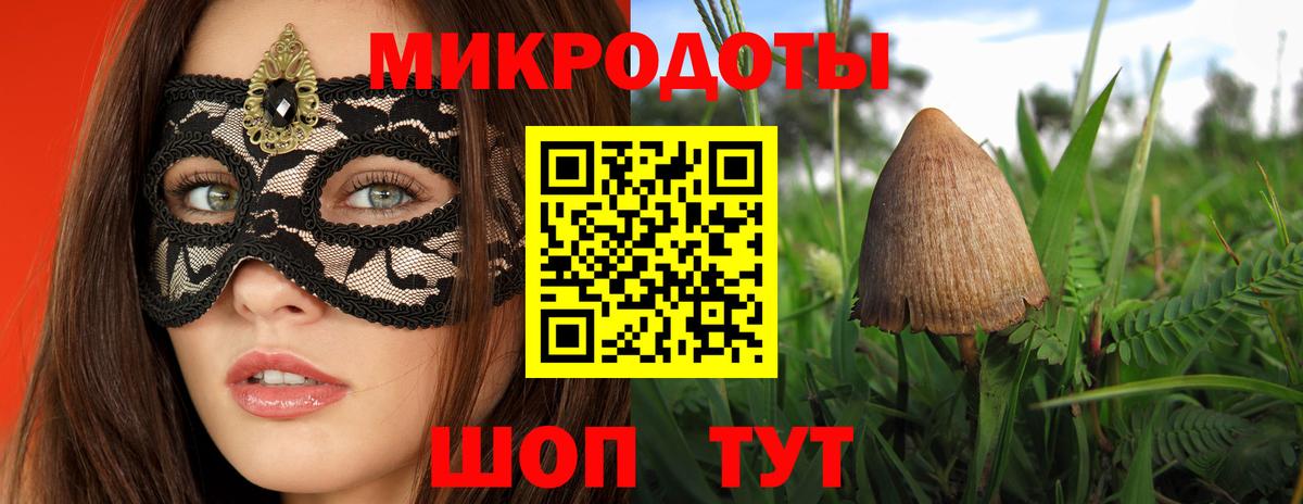 Псилоцибиновые грибы Psilocybe Строитель