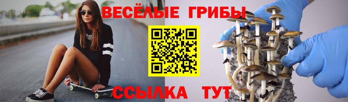 Псилоцибиновые грибы MAGIC MUSHROOMS  Вход с VPN  Псилоцибиновые грибы MAGIC MUSHROOMS  Строитель 